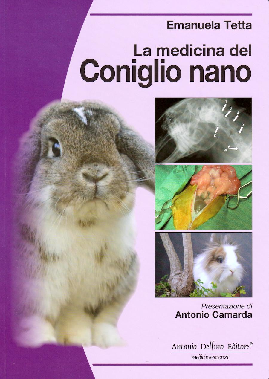La medicina del coniglio nano