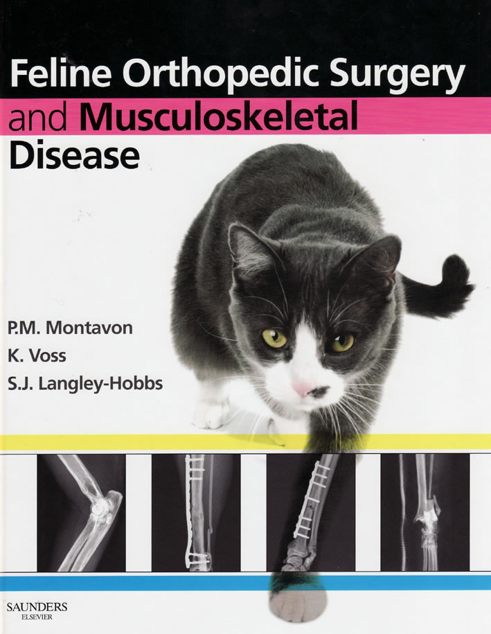 Feline orthopedic surgery and muscoloskeletal disease