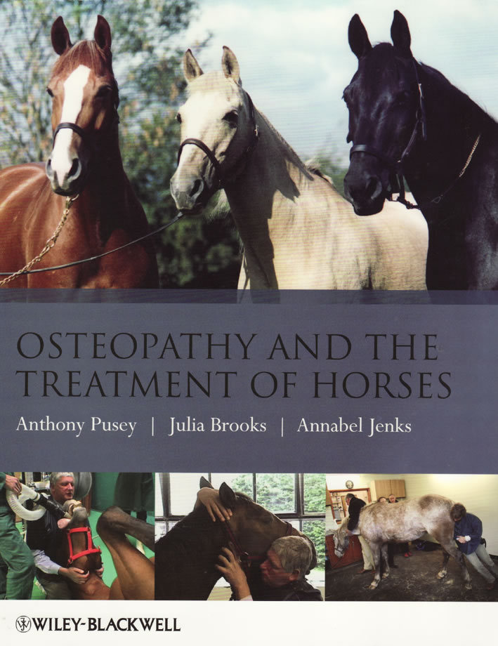 Osteopathy and the treatment of horses