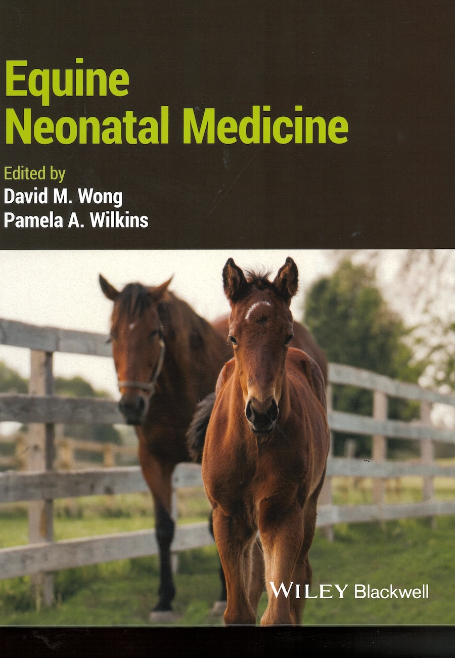Equine neonatal medicine
