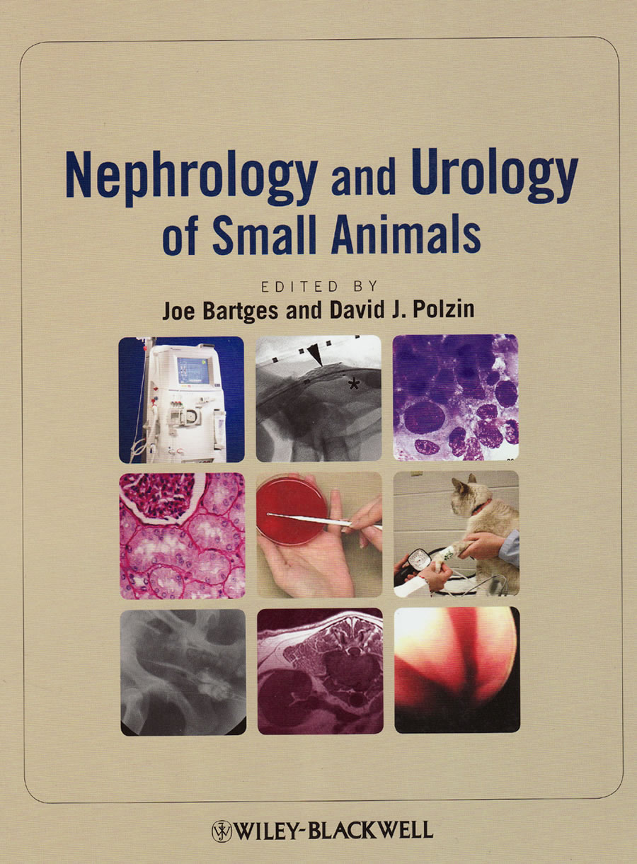 Nephrology and urology of small animals