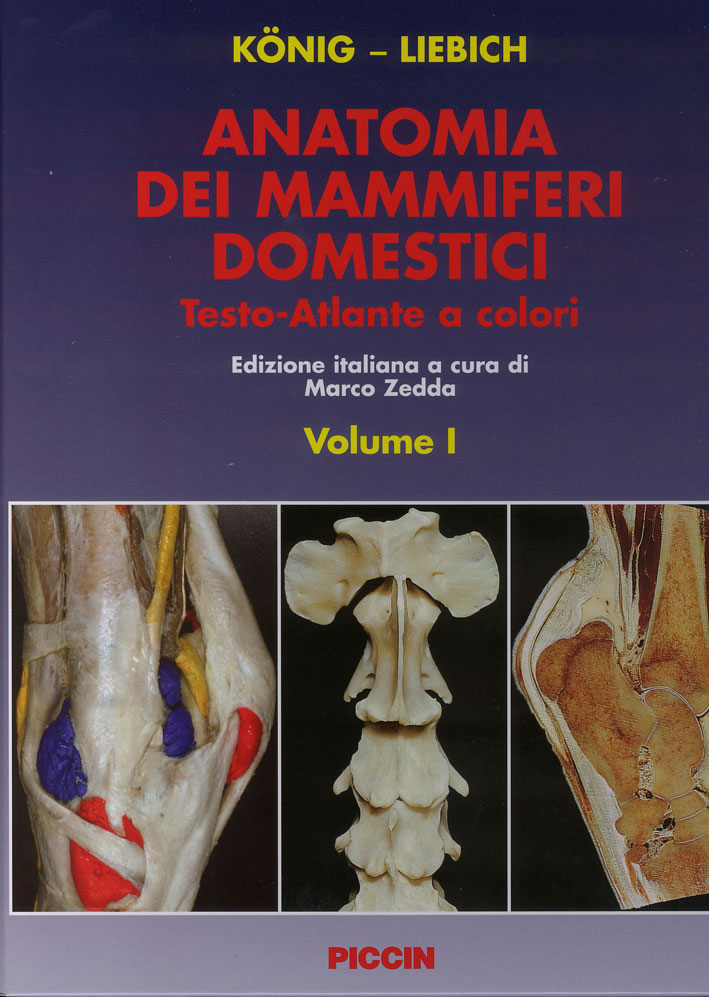 Anatomia dei mammiferi domestici. Vol. I - Apparato locomotore