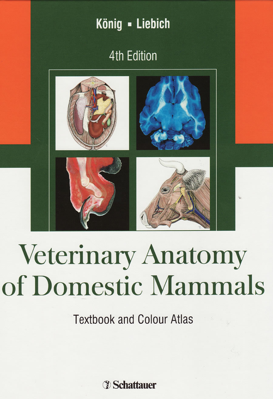 Veterinary anatomy of domestic mammals