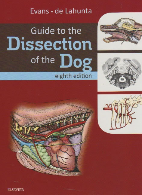 Guide to the dissection of the dog