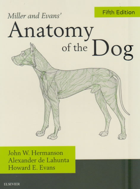 Miller and Evans' anatomy of the dog