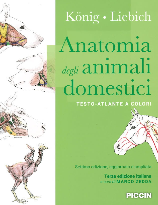 Anatomia degli animali domestici - testo-atlante a colori.