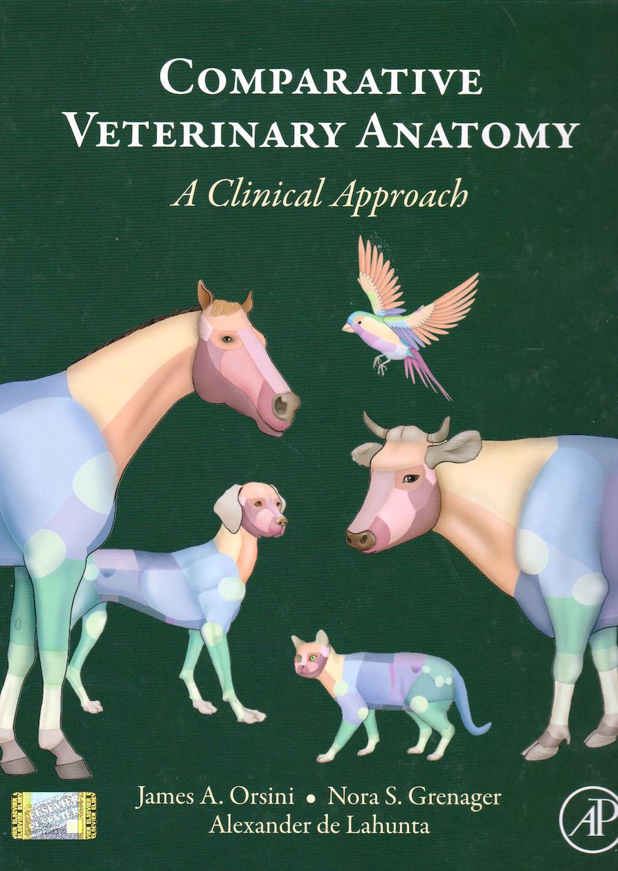 Comparative veterinary anatomy - A clinical approach
