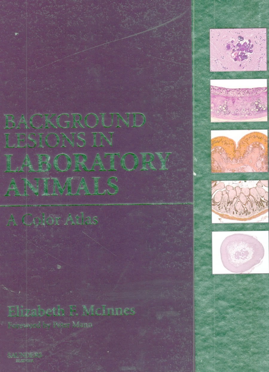 Background lesions in laboratory animals