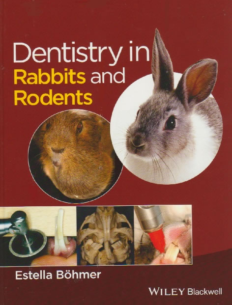 Dentistry in rabbits and rodents