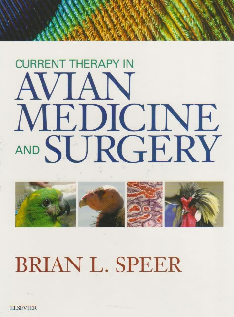 Current therapy in avian medicine and surgery