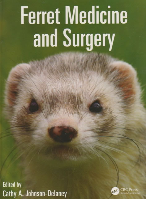 Ferret medicine and surgery