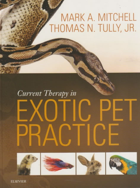 Current therapy in exotic pet practice