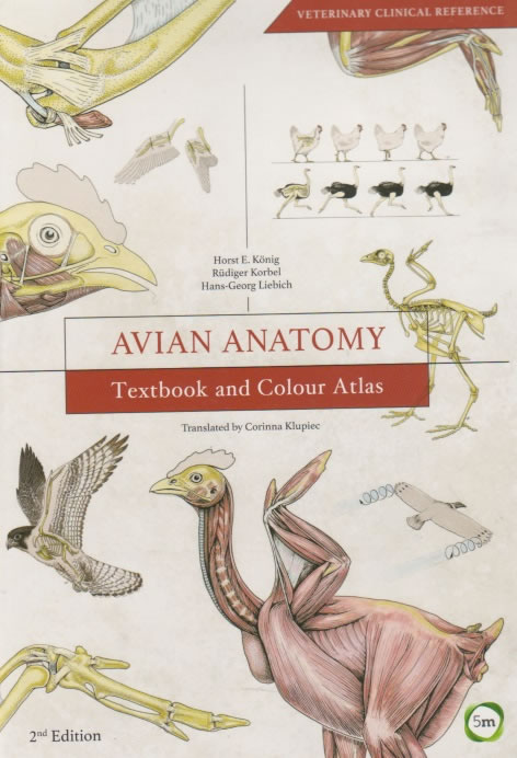 Avian anatomy - Textbok and colour atlas