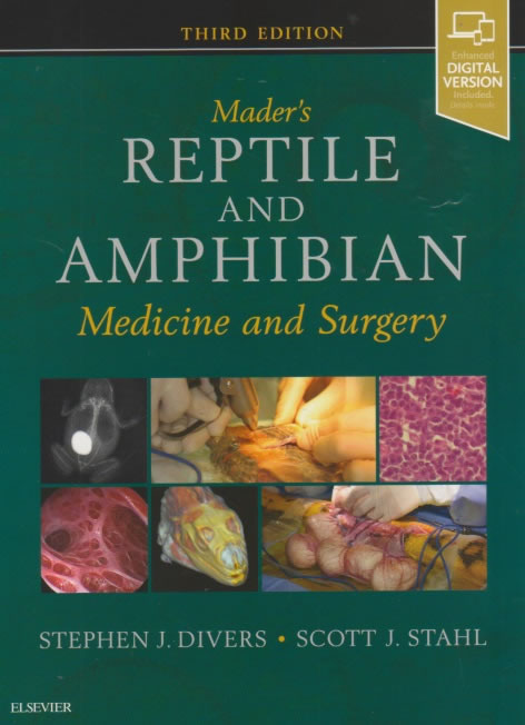 Mader's reptile and amphibian - Medicine and surgery