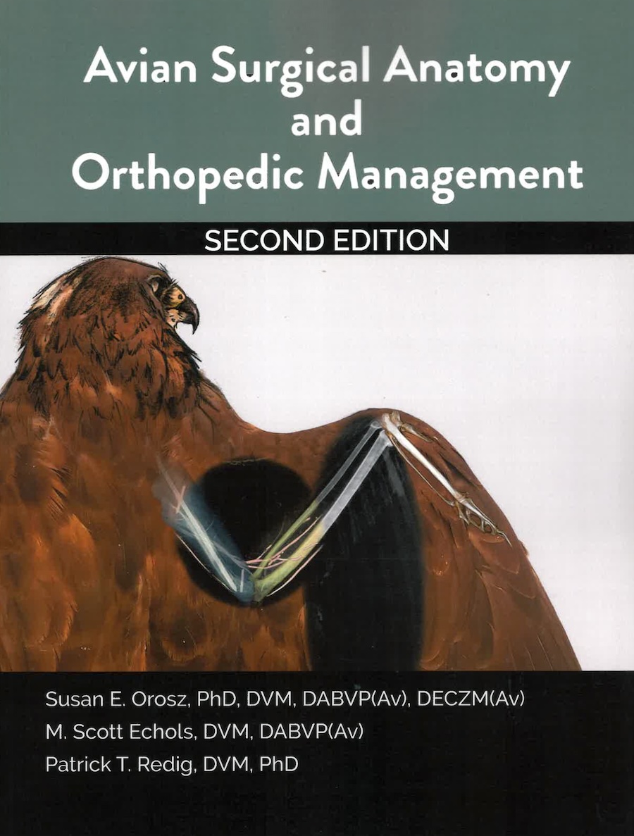 Avian surgical anatomy and orthopedic management