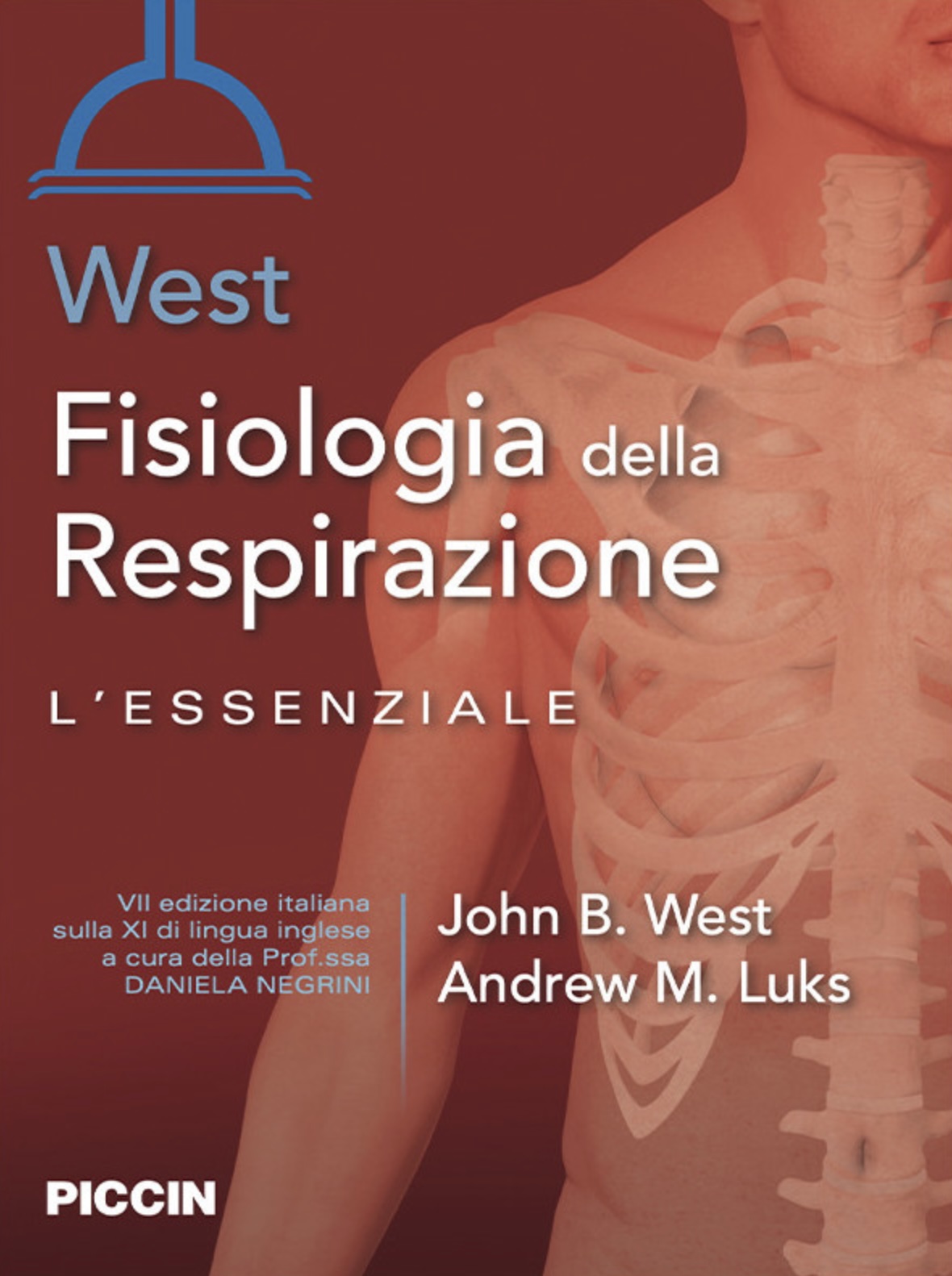 Fisiologia della respirazione. L'essenzaiale