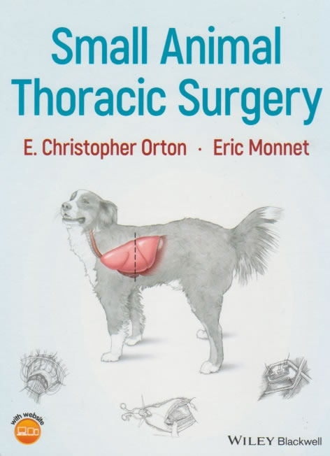 Small animal thoracic surgery