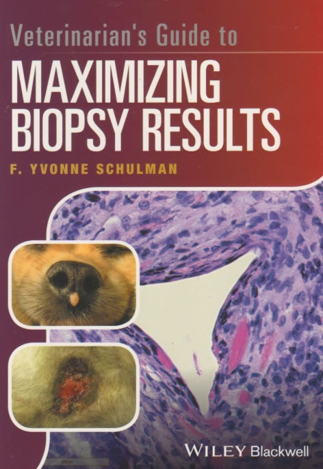 Veterinarian's guide to maximizing biopsy results