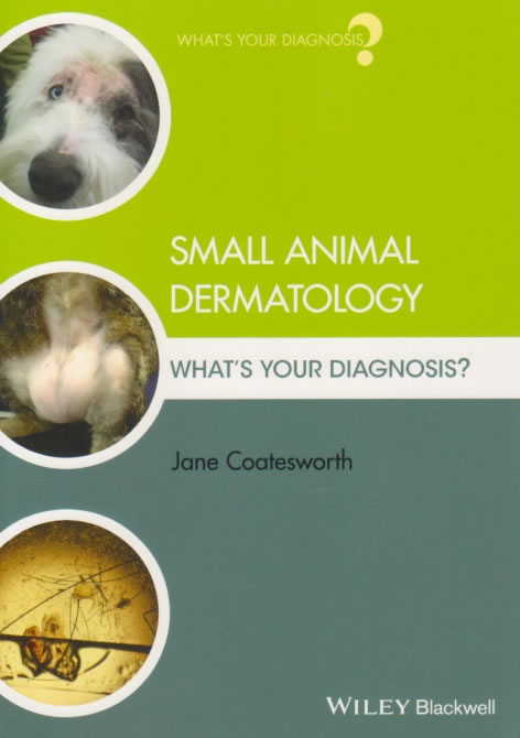 Small animal dermatology. What's your diagnosis?