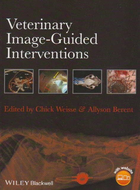 Veterinary image-guided interventions