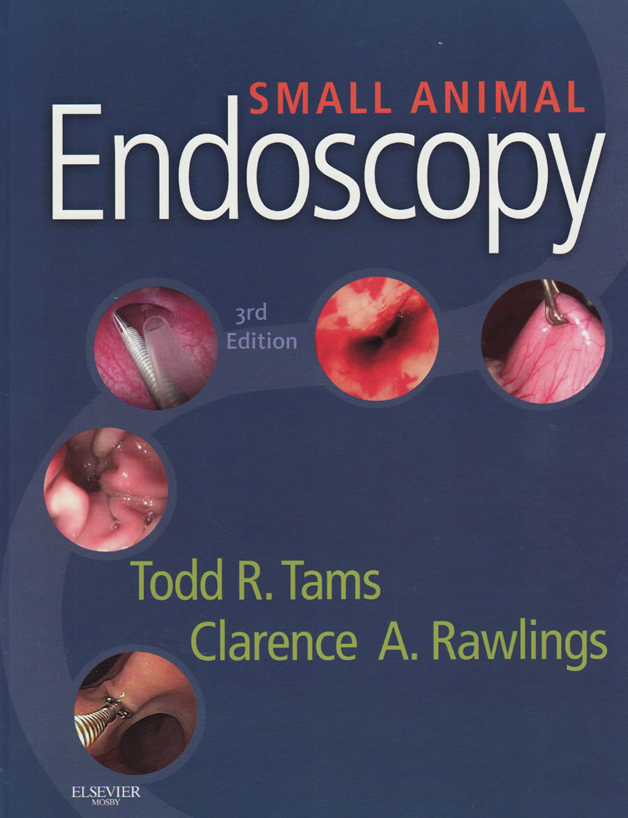 Small animal endoscopy