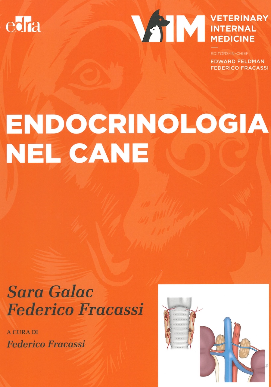 Endocrinologia nel cane