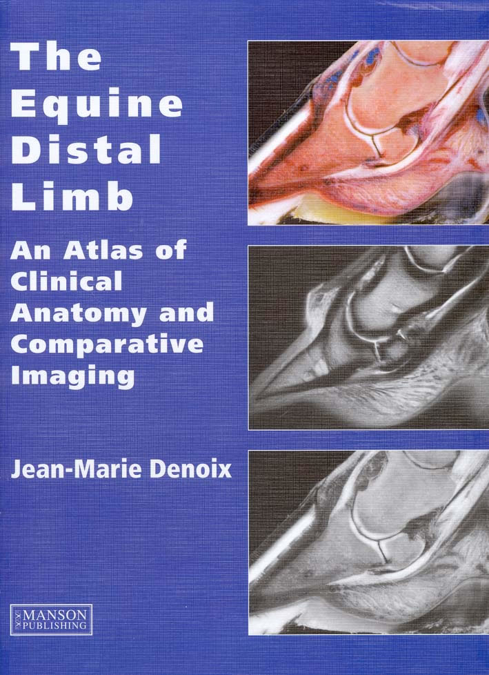 The equine distal limb