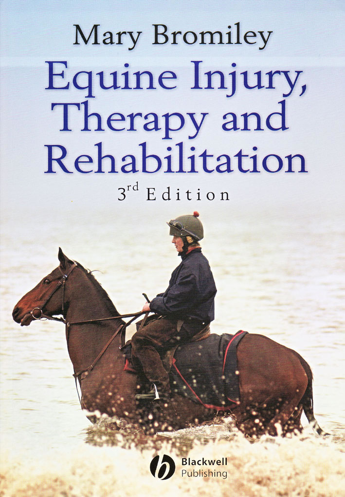 Equine injury, therapy and rehabilitation
