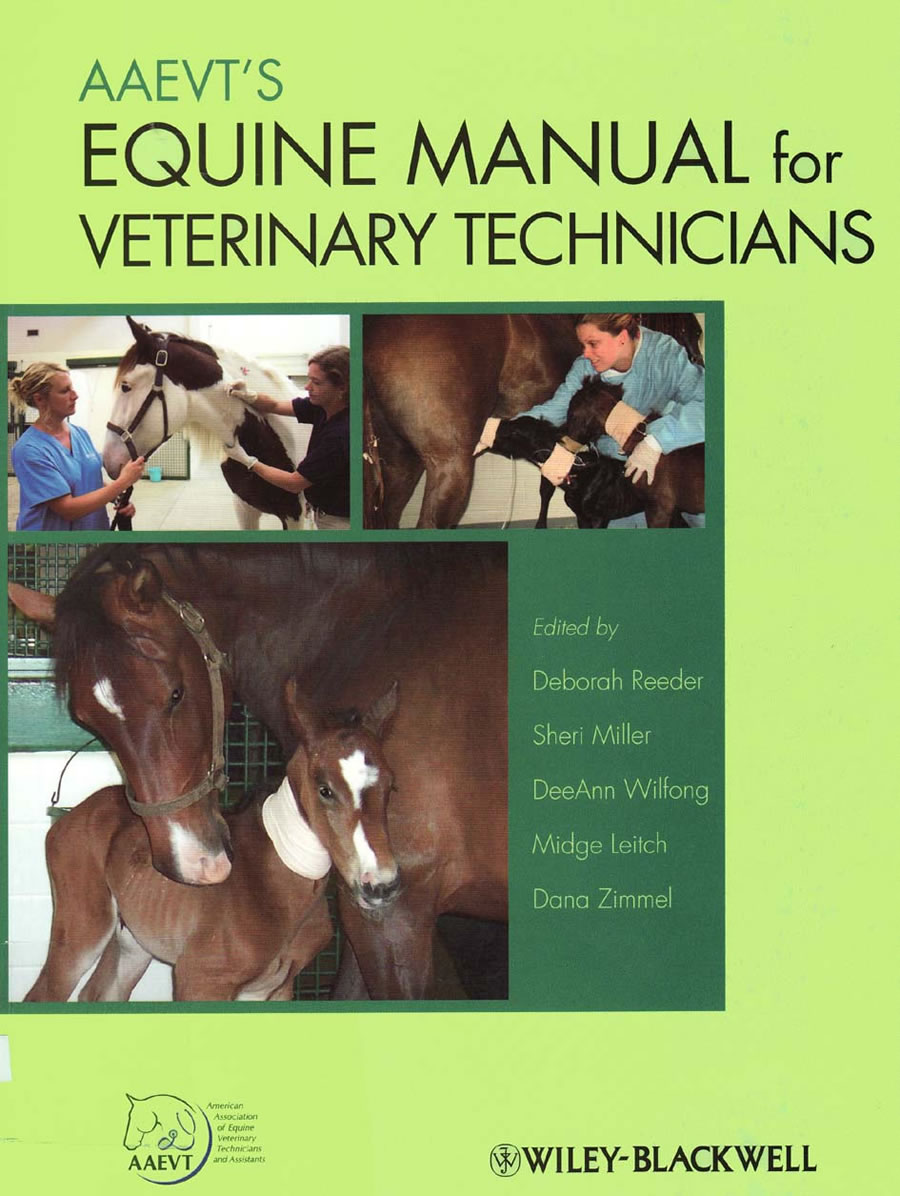 AAEVT's Equine manual for veterinary technicians