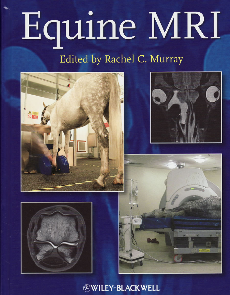 Equine MRI