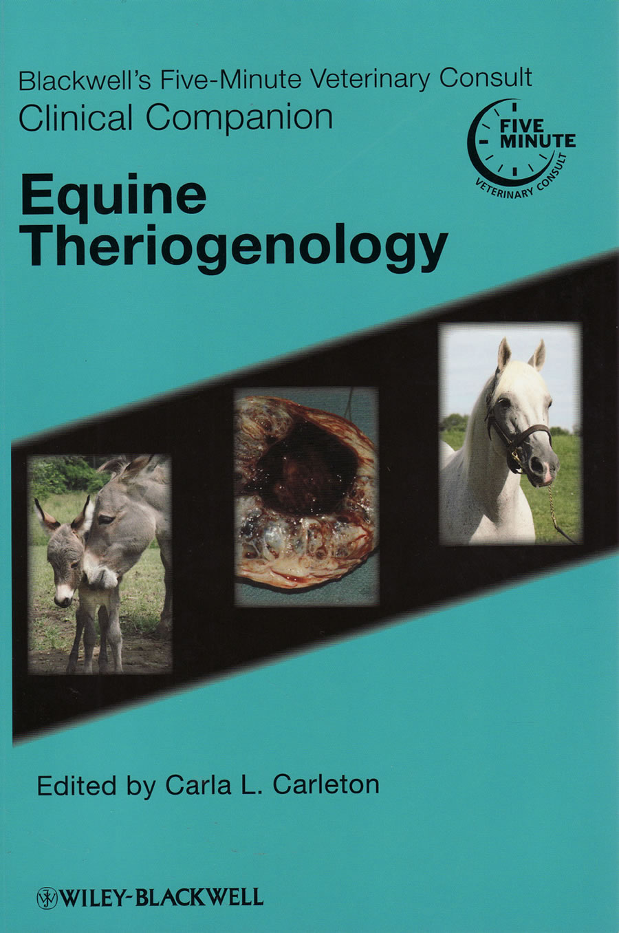 Blackwell's five-minute veterinary consult clinical companion. Equine theriogenology