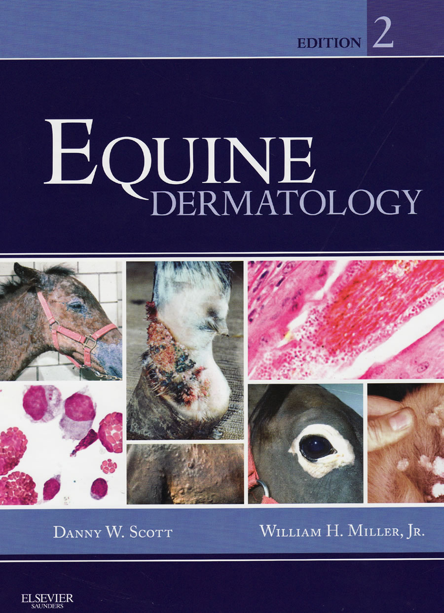 Equine dermatology