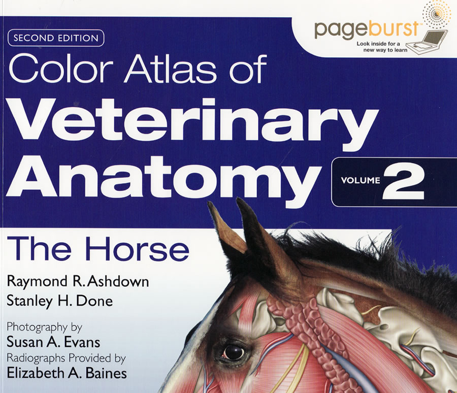 Color Atlas of Veterinary Anatomy - The Horse
