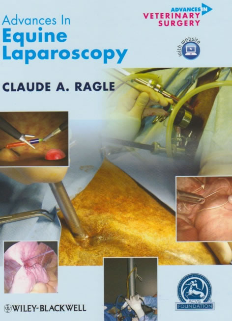 Advances in equine laparoscopy