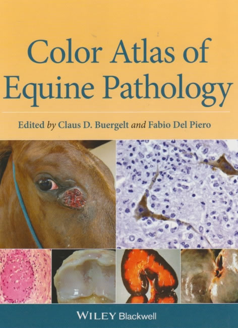 Color atlas of equine pathology