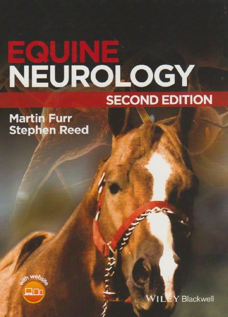 Equine neurology