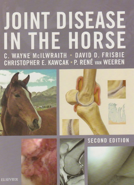 Joint disease in the horse