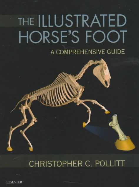 The illustrated horse's foot - a comprehnsive guide