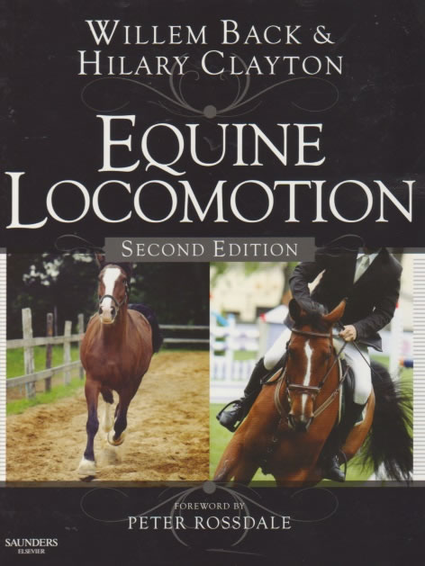 Equine locomotion