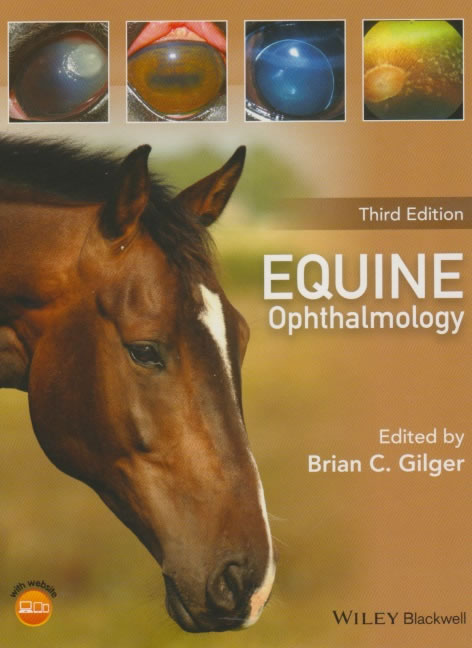 Equine ophthalmology