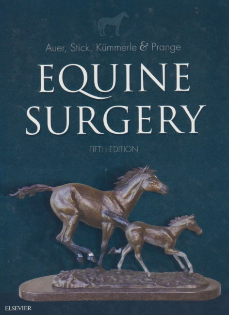 Equine surgery