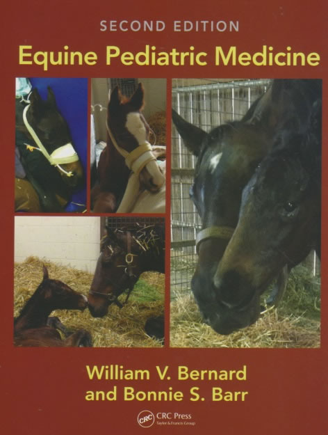 Equine pediatric medicine