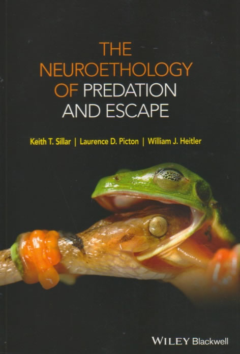 The neuroethology of predation and escape