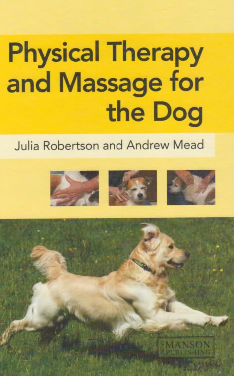 Physical therapy and massage for the dog