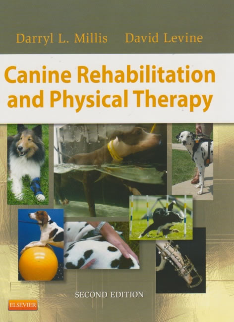 Canine rehabilitation and physical therapy