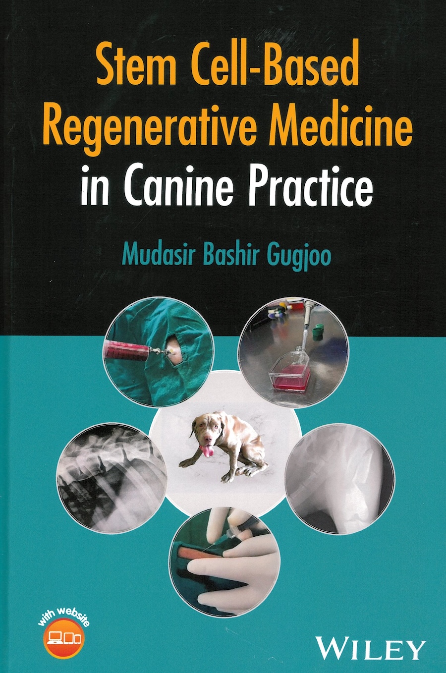 Stem Cell-Based Regenerative Medicine in Canine Practice