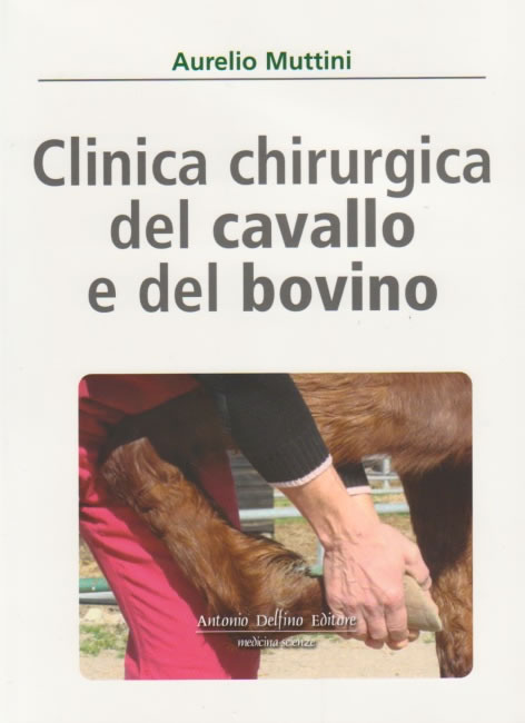 Clinica chirurgica del cavallo e del bovino