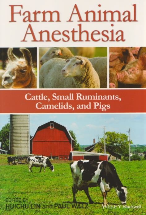 Farm animal anesthesia - Cattle, small ruminants, camelids, and pigs