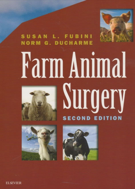 Farm animal surgery