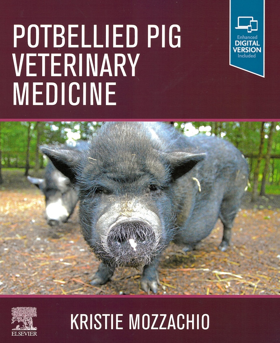 Potbellied pig veterinary medicine